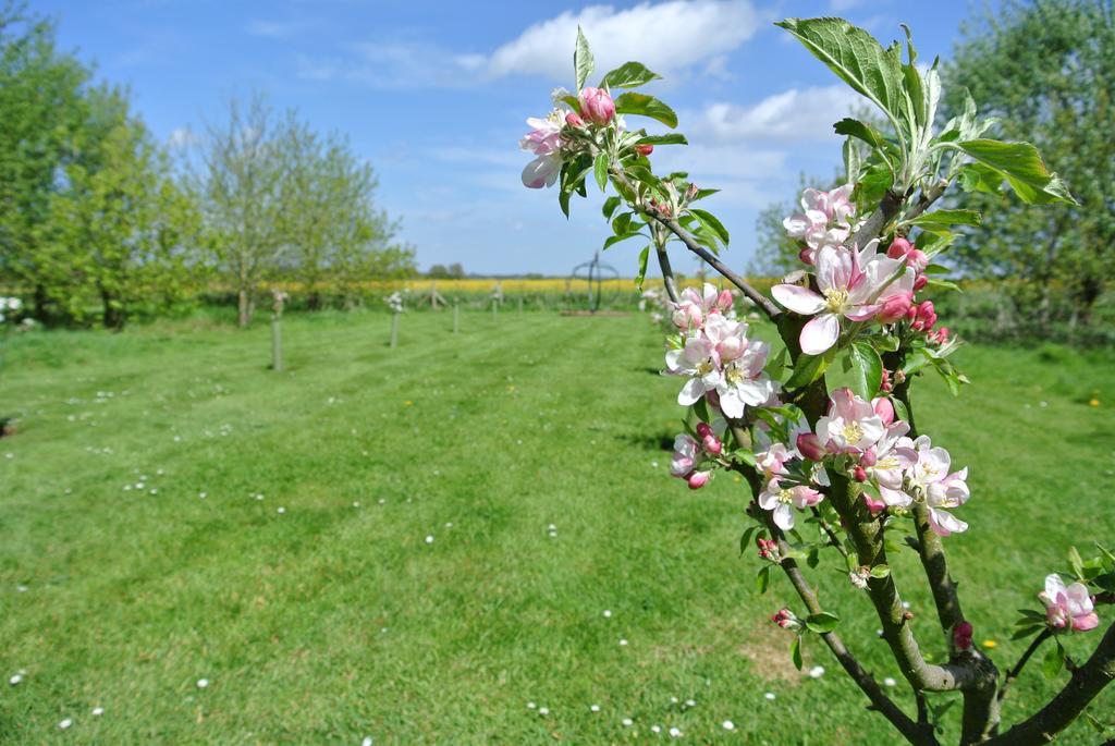 Frith Farm House Cottages Newnham  الغرفة الصورة